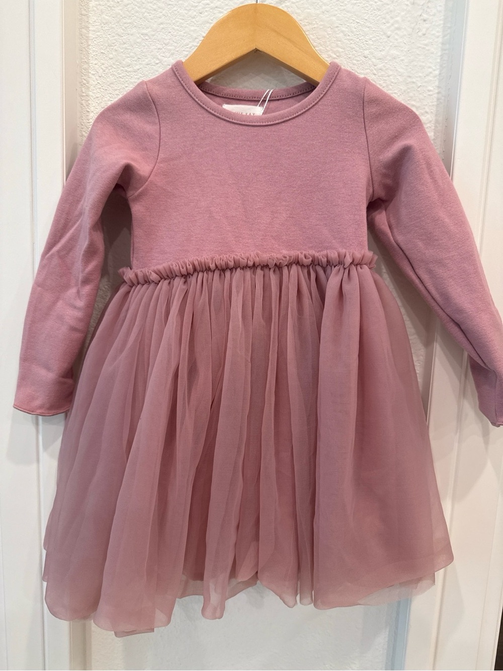 Jamie Kay Anna Tulle Dress Dusty Rose Long Sleeve NWT 2 Years